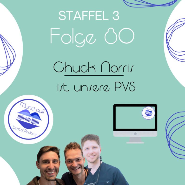 Staffel 3 – Folge 80: Chuck Norris ist unsere PVS